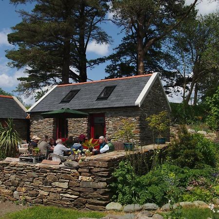 Ballycommane House & Garden Bed & Breakfast Durrus Exterior photo