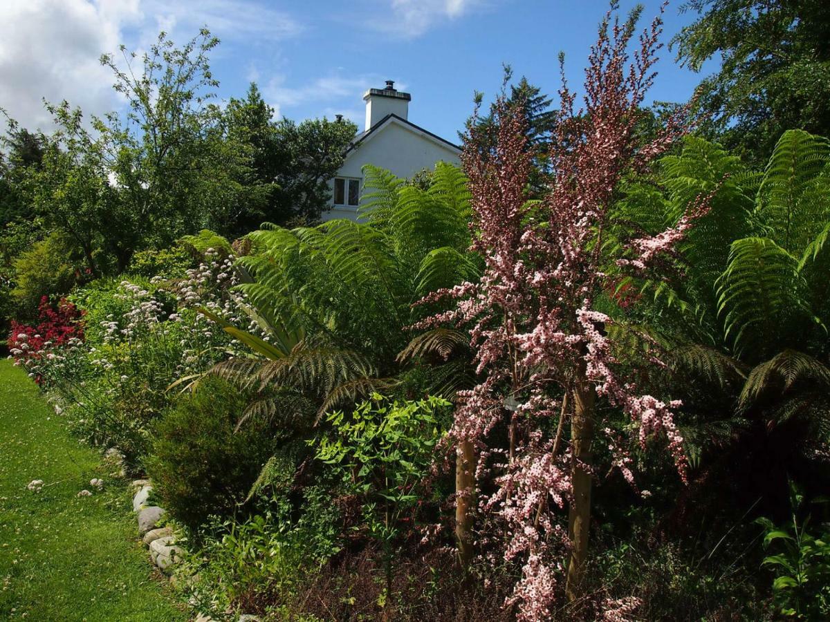 Ballycommane House & Garden Bed & Breakfast Durrus Exterior photo