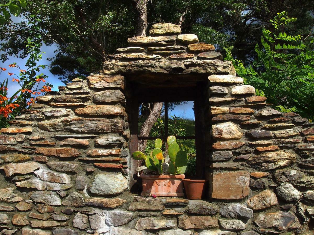 Ballycommane House & Garden Bed & Breakfast Durrus Exterior photo