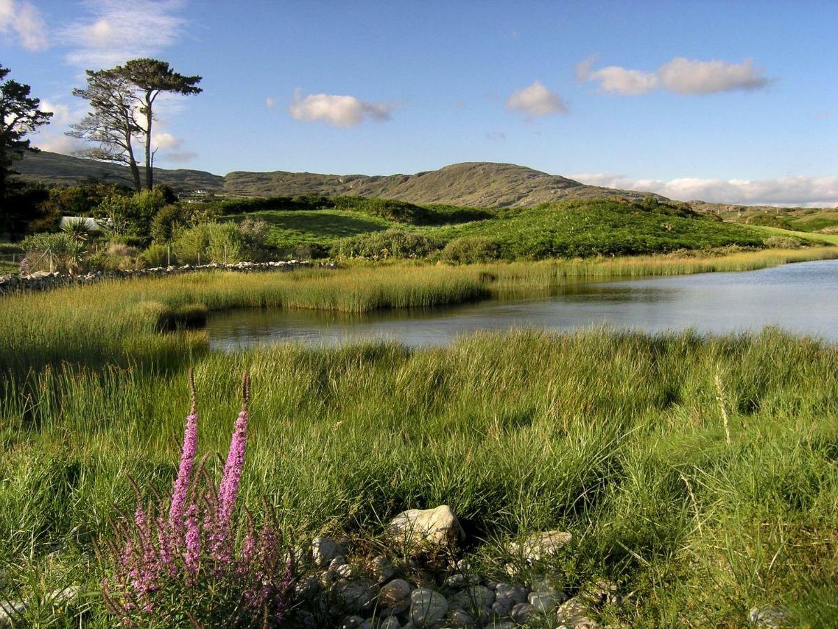 Ballycommane House & Garden Bed & Breakfast Durrus Exterior photo