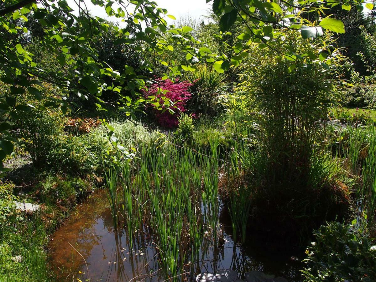 Ballycommane House & Garden Bed & Breakfast Durrus Exterior photo