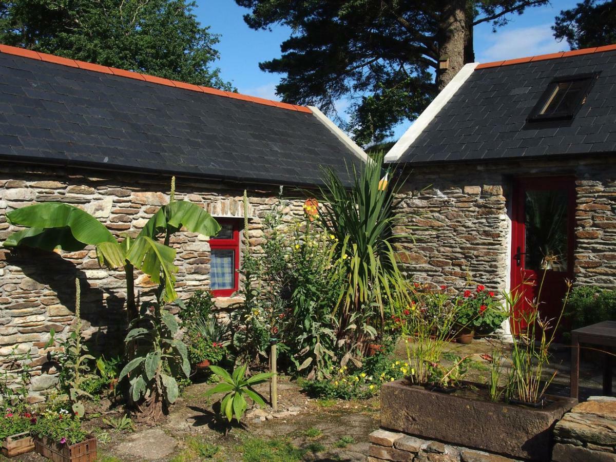 Ballycommane House & Garden Bed & Breakfast Durrus Exterior photo